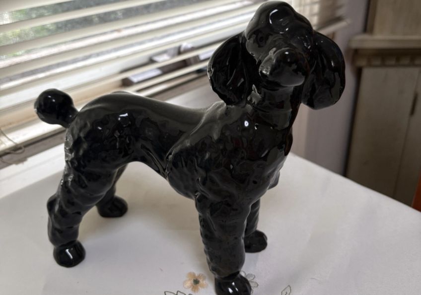Louie and the Poodle picture