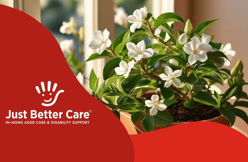 How to Grow and Care for Jasmine