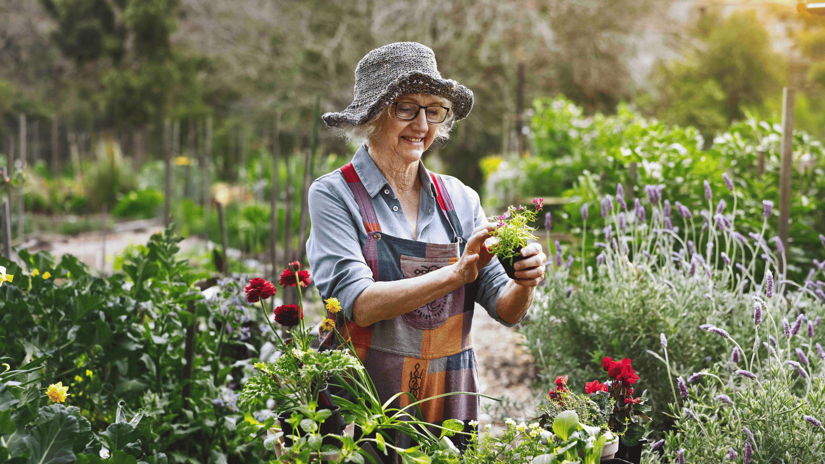 Living Will vs Power of Attorney: What's the Difference in Australia?