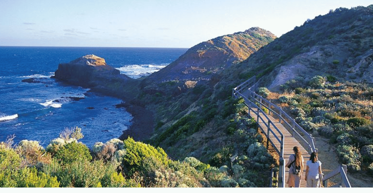 Staying Social on the Mornington Peninsula: Simple Ways to Keep Connected