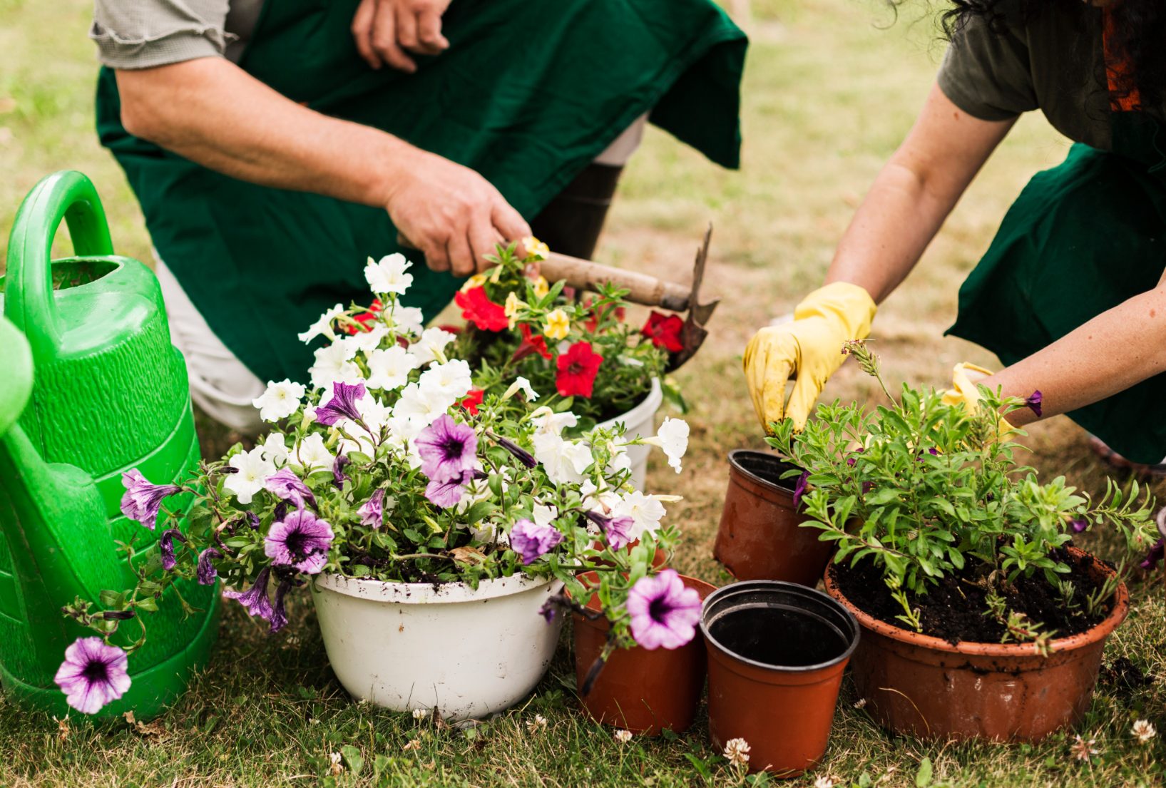 Using your green thumb for good health